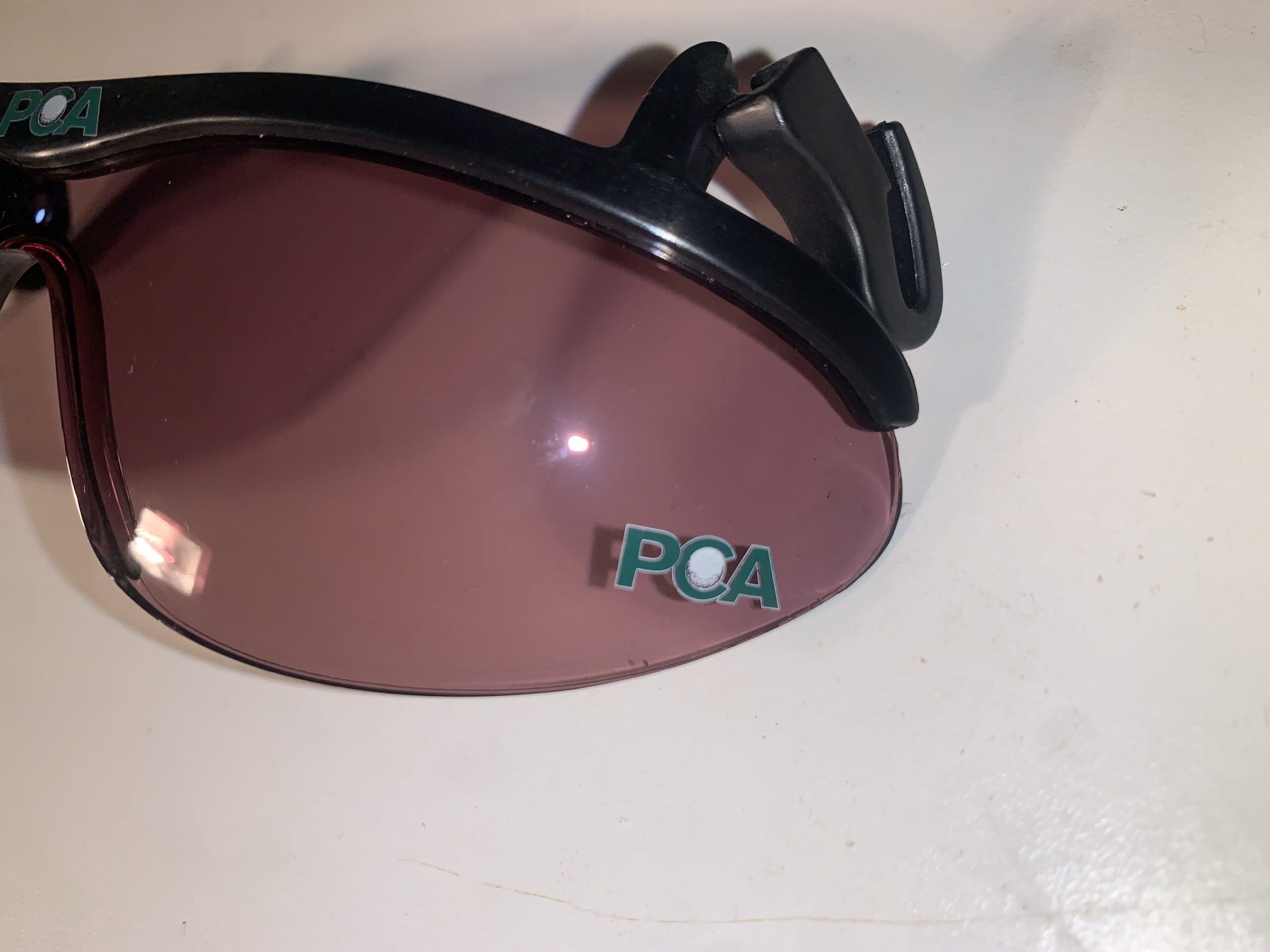 Professional Caddie Association (PCA) - Image 2